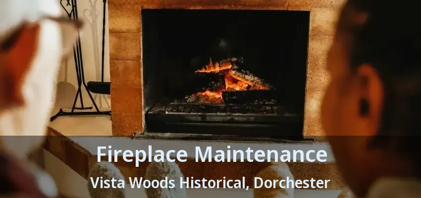 Fireplace Maintenance Vista Woods Historical, Dorchester - ON