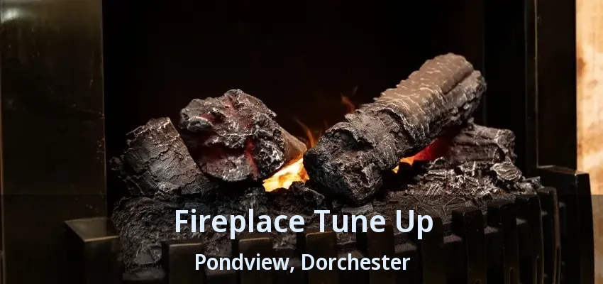 Fireplace Tune Up Pondview, Dorchester - ON