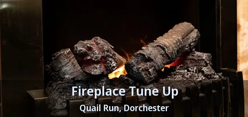 Fireplace Tune Up Quail Run, Dorchester - ON