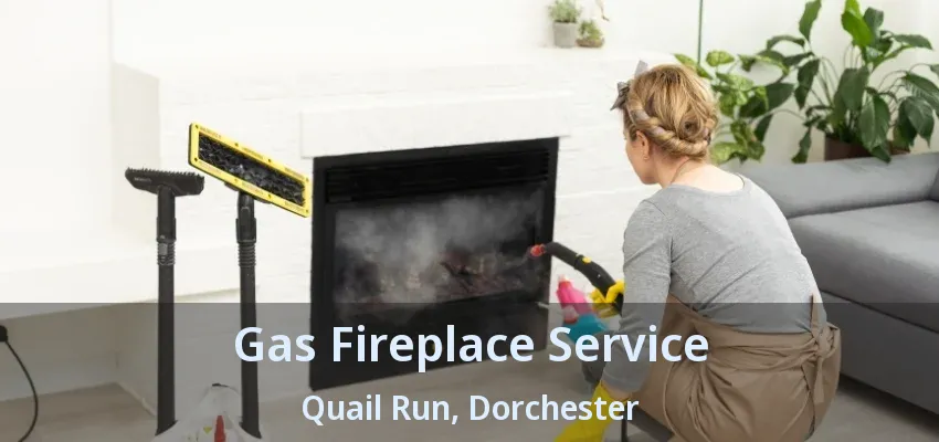 Gas Fireplace Service Quail Run, Dorchester - ON Gas Fireplace Service Quail Run, Dorchester - ON