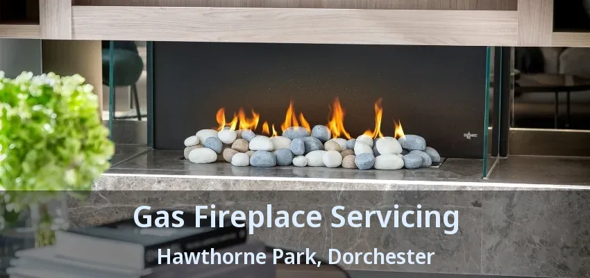 Gas Fireplace Servicing Hawthorne Park, Dorchester - ON Gas Fireplace Servicing Hawthorne Park, Dorchester - ON