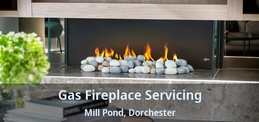 Gas Fireplace Servicing Mill Pond, Dorchester - ON
