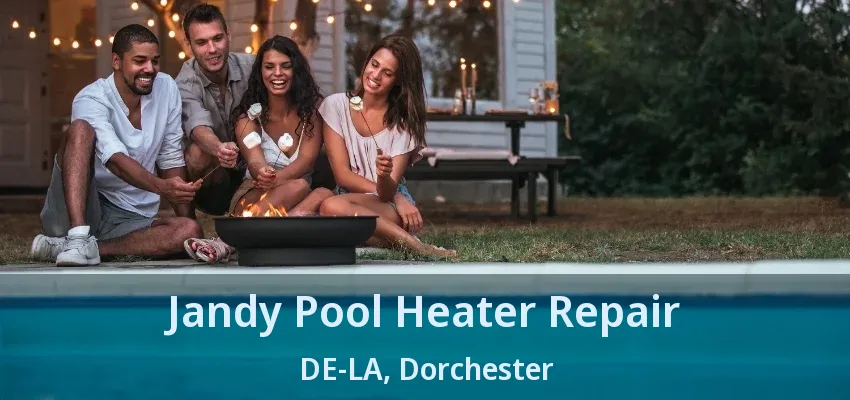 Jandy Pool Heater Repair DE-LA, Dorchester - ON