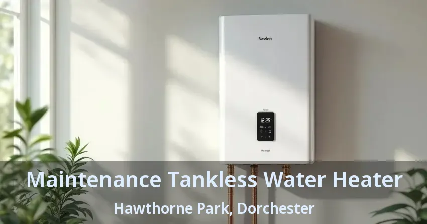 Maintenance Tankless Water Heater Hawthorne Park, Dorchester - ON Maintenance Tankless Water Heater Hawthorne Park, Dorchester - ON