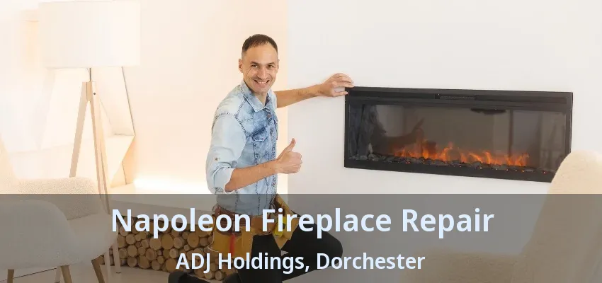 Napoleon Fireplace Repair ADJ Holdings, Dorchester - ON