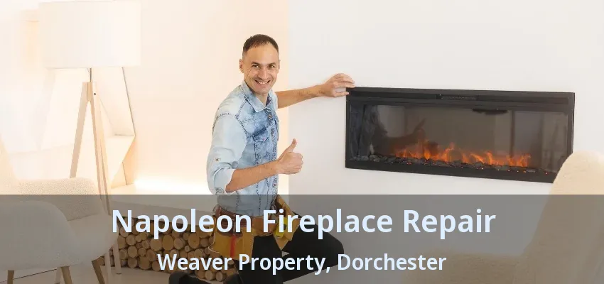 Napoleon Fireplace Repair Weaver Property, Dorchester - ON Napoleon Fireplace Repair Weaver Property, Dorchester - ON
