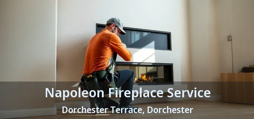 Napoleon Fireplace Service Dorchester Terrace, Dorchester - ON