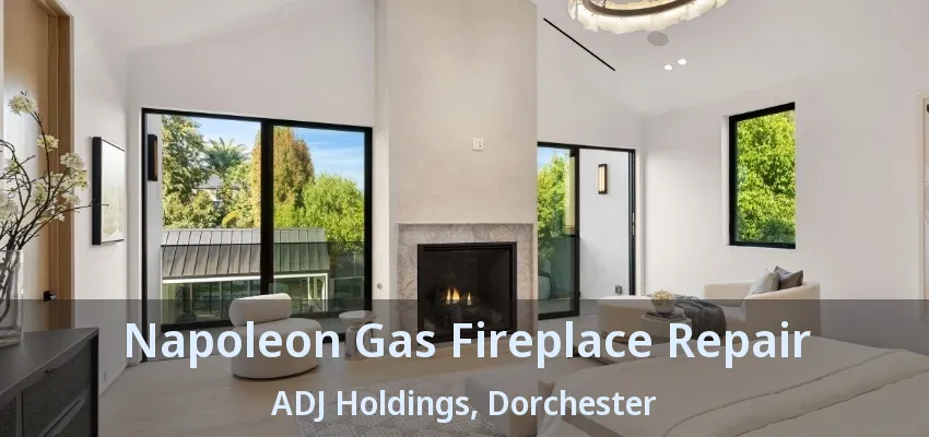 Napoleon Gas Fireplace Repair ADJ Holdings, Dorchester - ON