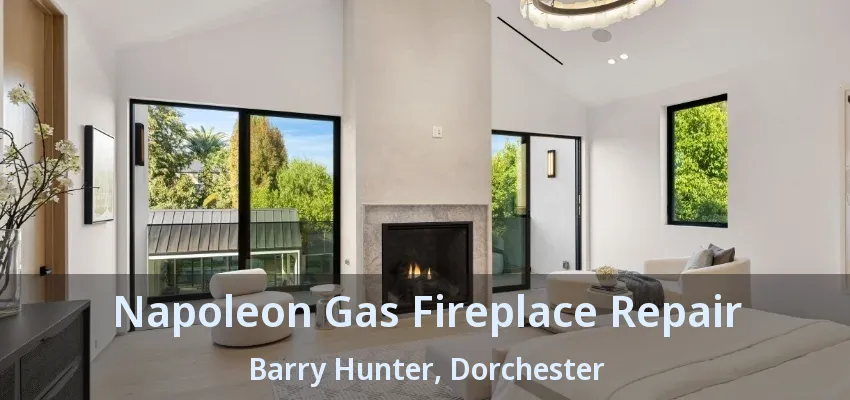 Napoleon Gas Fireplace Repair Barry Hunter, Dorchester - ON Napoleon Gas Fireplace Repair Barry Hunter, Dorchester - ON