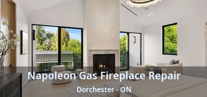 Napoleon Gas Fireplace Repair Dorchester - ON