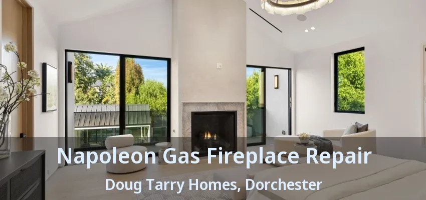 Napoleon Gas Fireplace Repair Doug Tarry Homes, Dorchester - ON