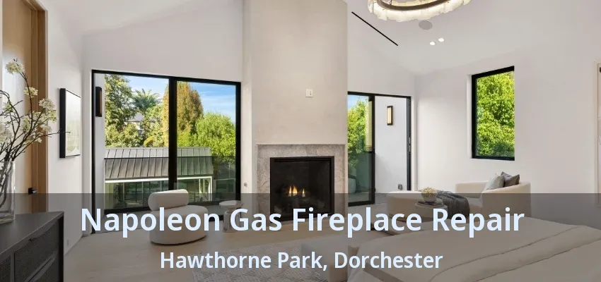 Napoleon Gas Fireplace Repair Hawthorne Park, Dorchester - ON Napoleon Gas Fireplace Repair Hawthorne Park, Dorchester - ON