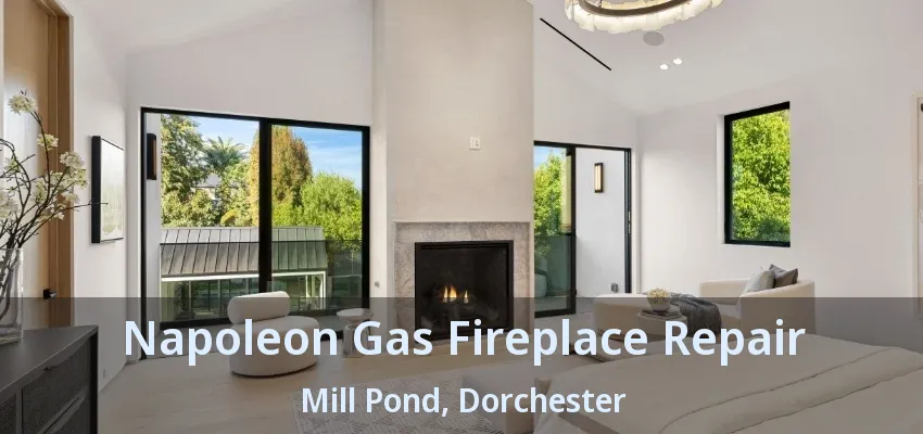 Napoleon Gas Fireplace Repair Mill Pond, Dorchester - ON