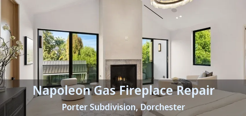 Napoleon Gas Fireplace Repair Porter Subdivision, Dorchester - ON