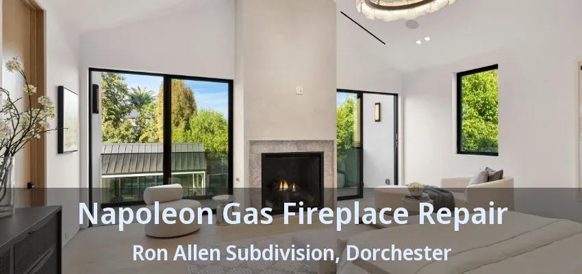 Napoleon Gas Fireplace Repair Ron Allen Subdivision, Dorchester - ON Napoleon Gas Fireplace Repair Ron Allen Subdivision, Dorchester - ON