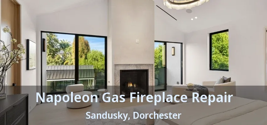 Napoleon Gas Fireplace Repair Sandusky, Dorchester - ON Napoleon Gas Fireplace Repair Sandusky, Dorchester - ON