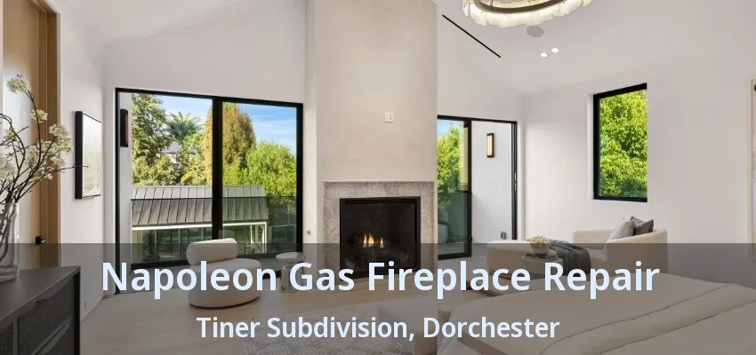 Napoleon Gas Fireplace Repair Tiner Subdivision, Dorchester - ON Napoleon Gas Fireplace Repair Tiner Subdivision, Dorchester - ON
