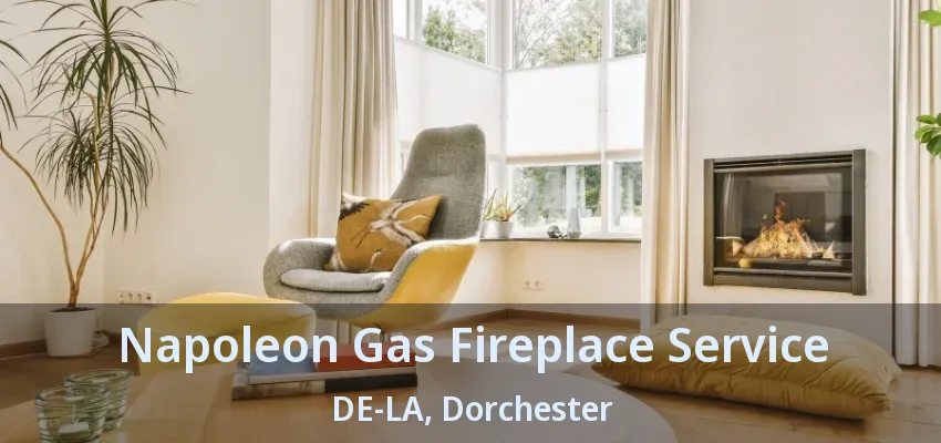 Napoleon Gas Fireplace Service DE-LA, Dorchester - ON Napoleon Gas Fireplace Service DE-LA, Dorchester - ON