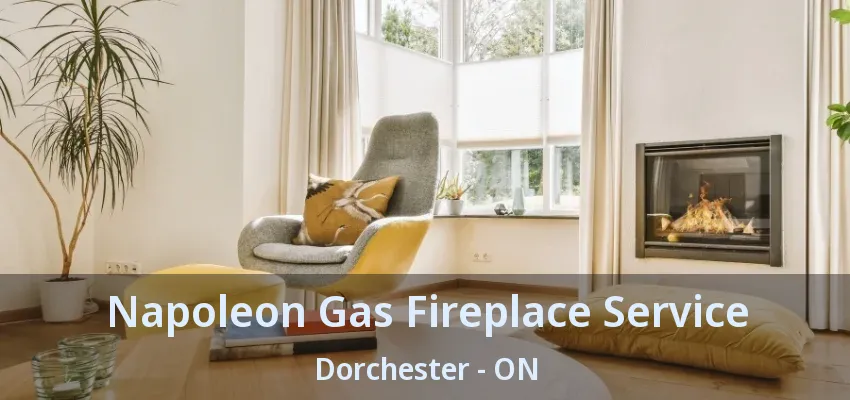 Napoleon Gas Fireplace Service Dorchester - ON Napoleon Gas Fireplace Service Dorchester - ON