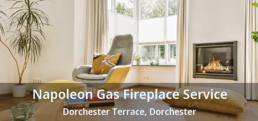 Napoleon Gas Fireplace Service Dorchester Terrace, Dorchester - ON