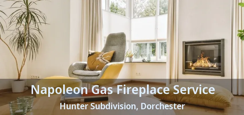Napoleon Gas Fireplace Service Hunter Subdivision, Dorchester - ON Napoleon Gas Fireplace Service Hunter Subdivision, Dorchester - ON