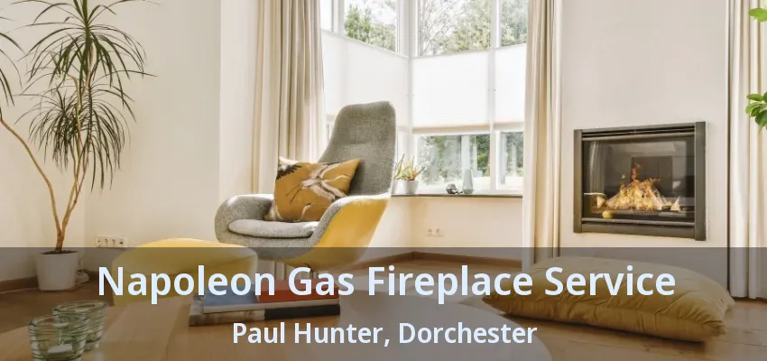 Napoleon Gas Fireplace Service Paul Hunter, Dorchester - ON Napoleon Gas Fireplace Service Paul Hunter, Dorchester - ON