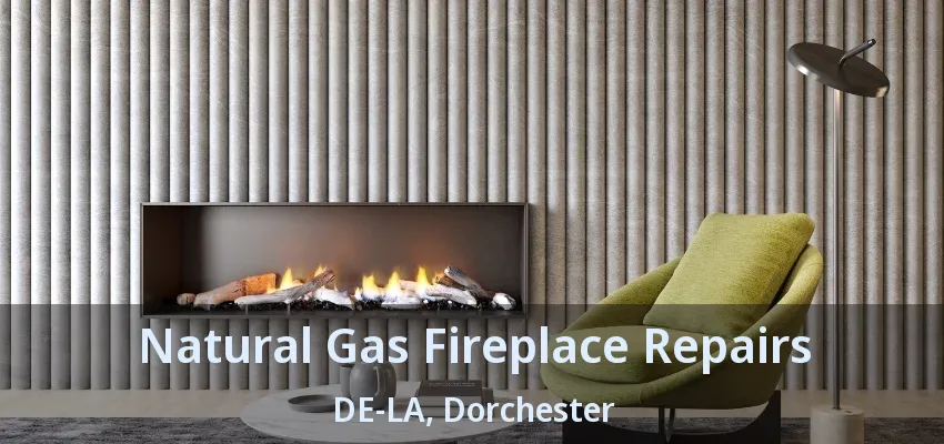 Natural Gas Fireplace Repairs DE-LA, Dorchester - ON