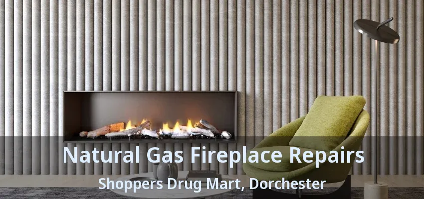 Natural Gas Fireplace Repairs Shoppers Drug Mart, Dorchester - ON