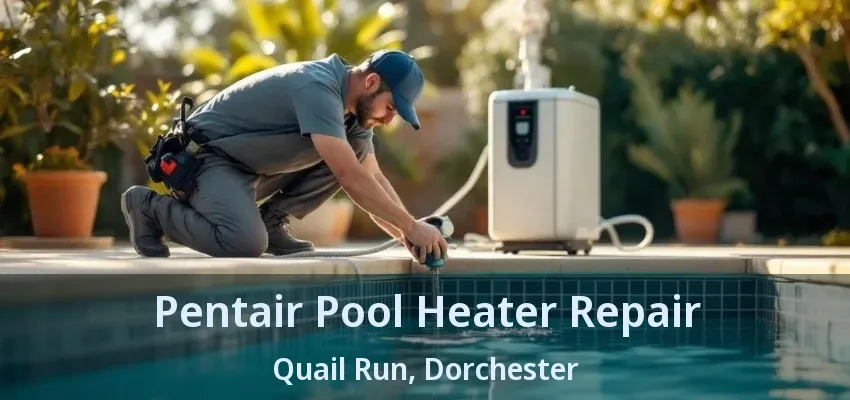 Pentair Pool Heater Repair Quail Run, Dorchester - ON Pentair Pool Heater Repair Quail Run, Dorchester - ON