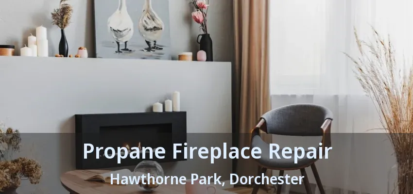 Propane Fireplace Repair Hawthorne Park, Dorchester - ON Propane Fireplace Repair Hawthorne Park, Dorchester - ON