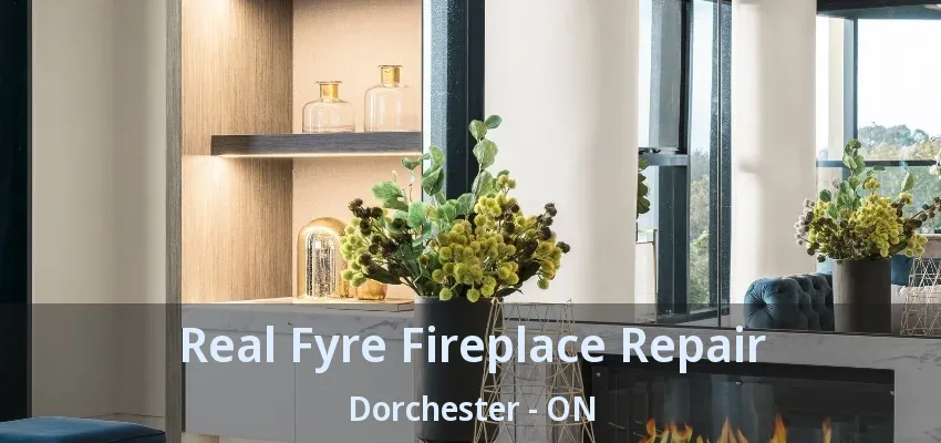 Real Fyre Fireplace Repair Dorchester - ON