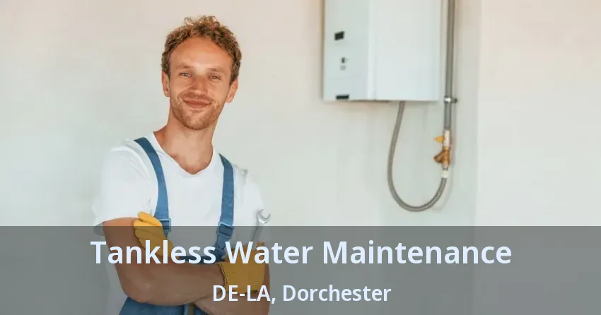 Tankless Water Maintenance DE-LA, Dorchester - ON