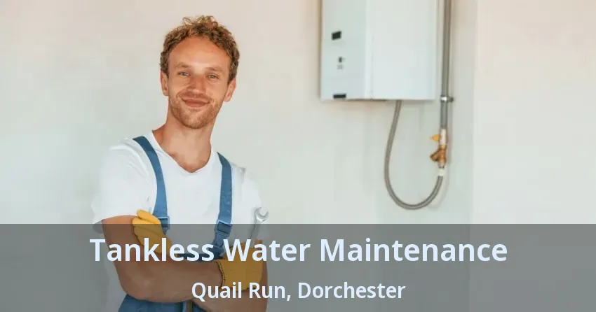 Tankless Water Maintenance Quail Run, Dorchester - ON Tankless Water Maintenance Quail Run, Dorchester - ON