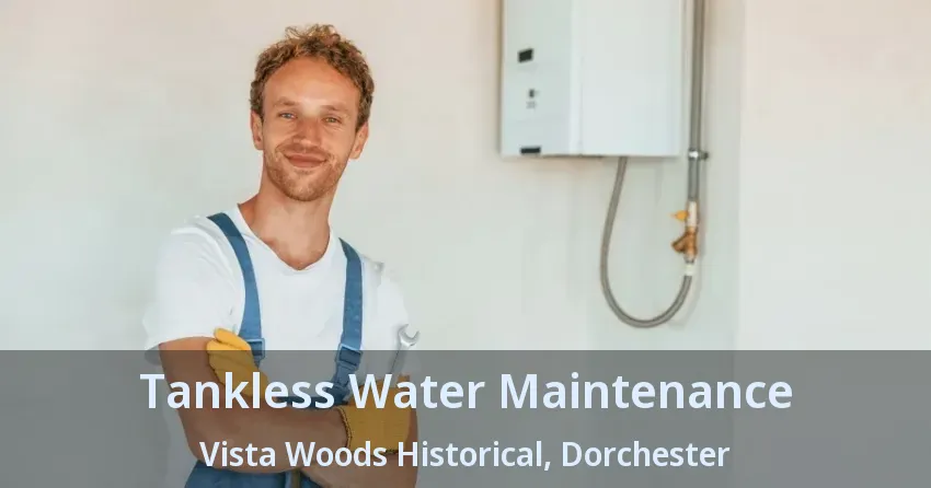 Tankless Water Maintenance Vista Woods Historical, Dorchester - ON Tankless Water Maintenance Vista Woods Historical, Dorchester - ON
