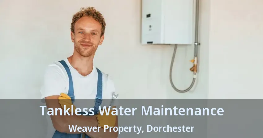 Tankless Water Maintenance Weaver Property, Dorchester - ON Tankless Water Maintenance Weaver Property, Dorchester - ON
