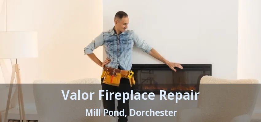 Valor Fireplace Repair Mill Pond, Dorchester - ON